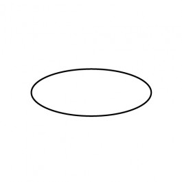 Dichtungsring Zylinder (AES06D)