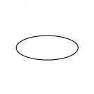 Dichtungsring Zylinder (AES06D)